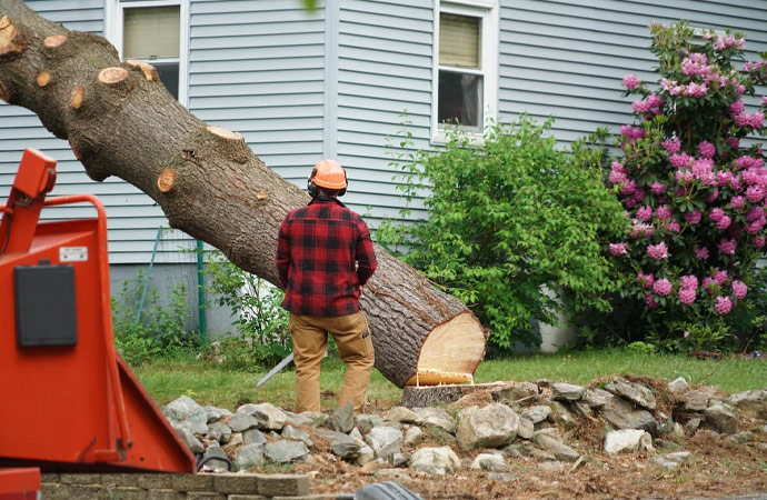 Tree Service & Care Professionals Insurance in Texas