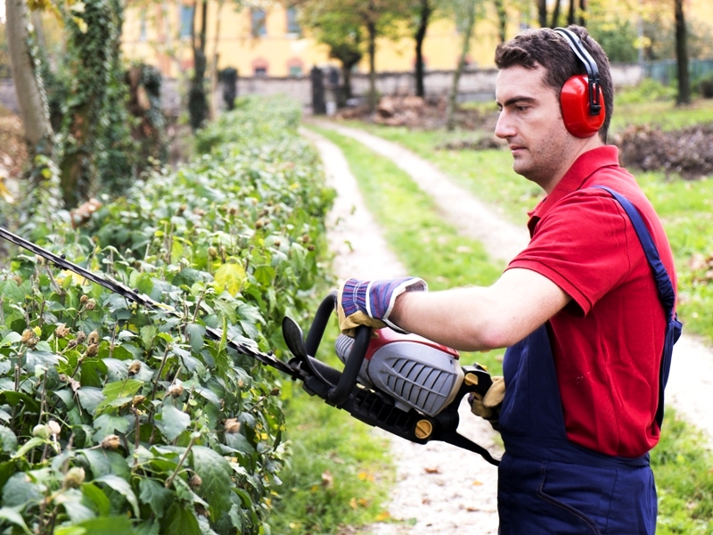A lawn-care professional is trimming garden