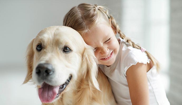 Insurance is Important for Pet & Animal